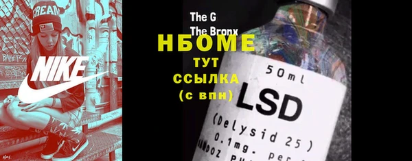 прущие грибы Абаза
