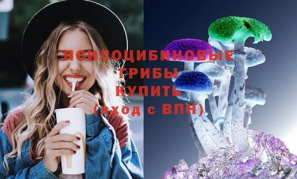 прущие грибы Абаза