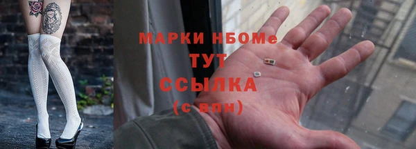 прущие грибы Абаза