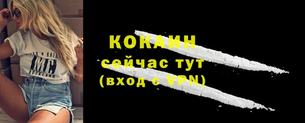 прущие грибы Абаза