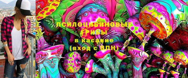 бутират Алексеевка