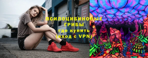 сатива Алзамай