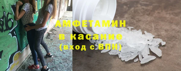 прущие грибы Абаза
