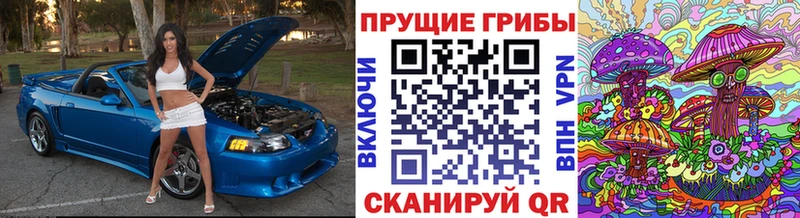 Галлюциногенные грибы Magic Shrooms  Киржач 
